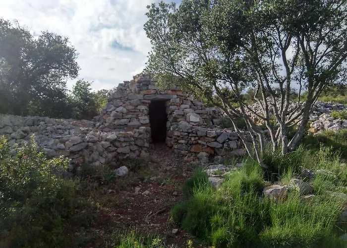 Nature * 프롱티냥